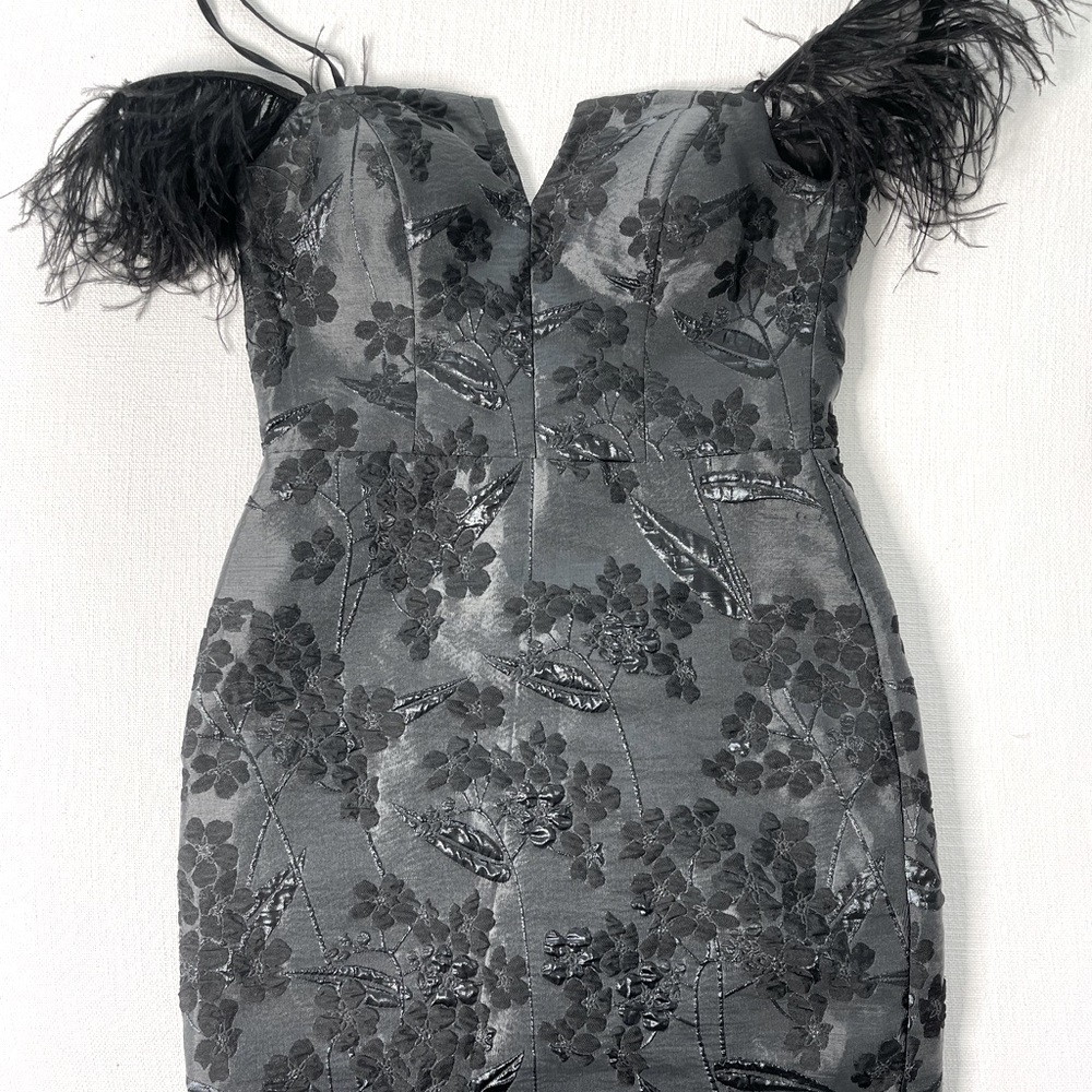 Luxurious Black Feathered Dress